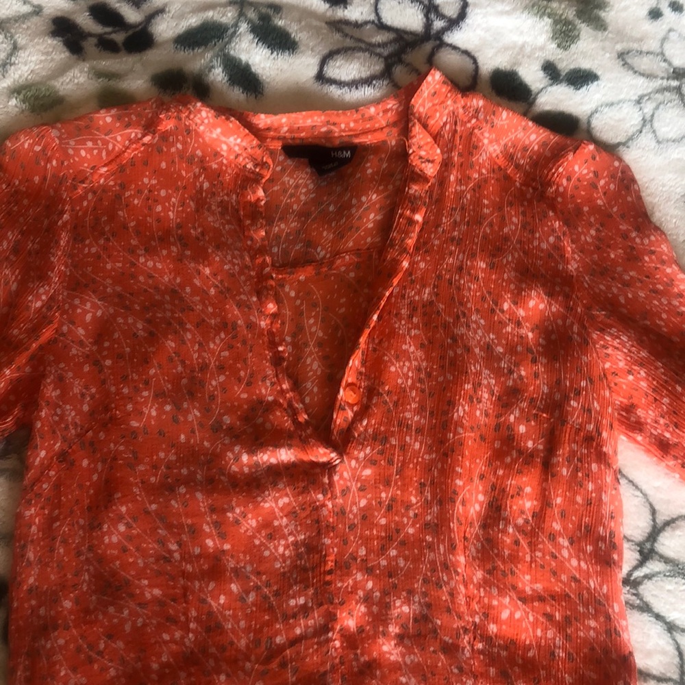 Sheer fitted tunic